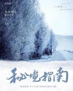如何评价《灵契》